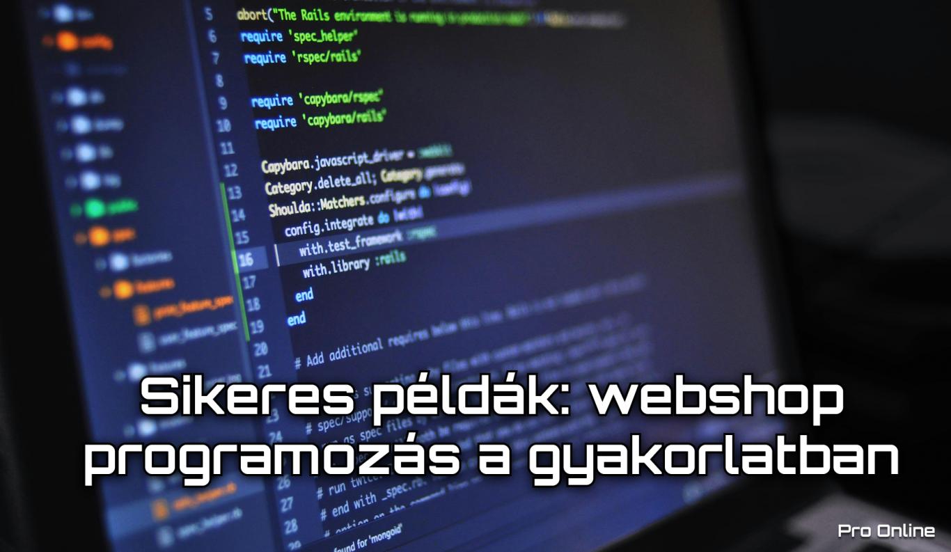 Sikeres példák: webshop programozás a gyakorlatban