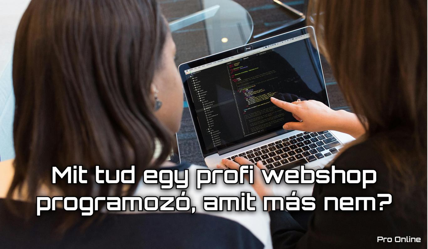 Mit tud egy profi webshop programozó, amit más nem?